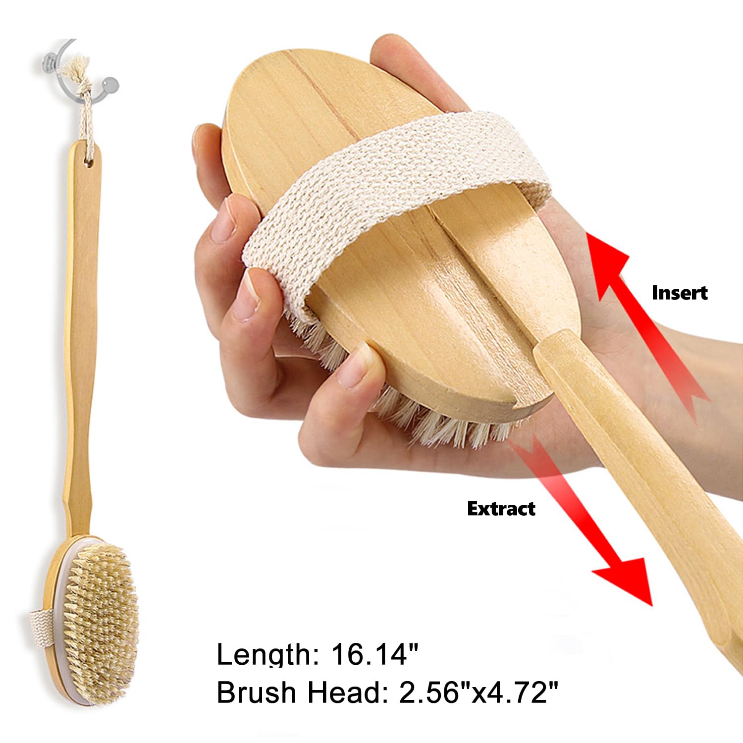 Dry Brushing Body Brush - Long Handle Natural Bristle Exfoliator for Wet Dry Showering, Back Scrubber, Large Dead Skin Remover - Damaged Box