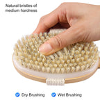 Dry Brushing Body Brush - Long Handle Natural Bristle Exfoliator for Wet Dry Showering, Back Scrubber, Large Dead Skin Remover - Damaged Box