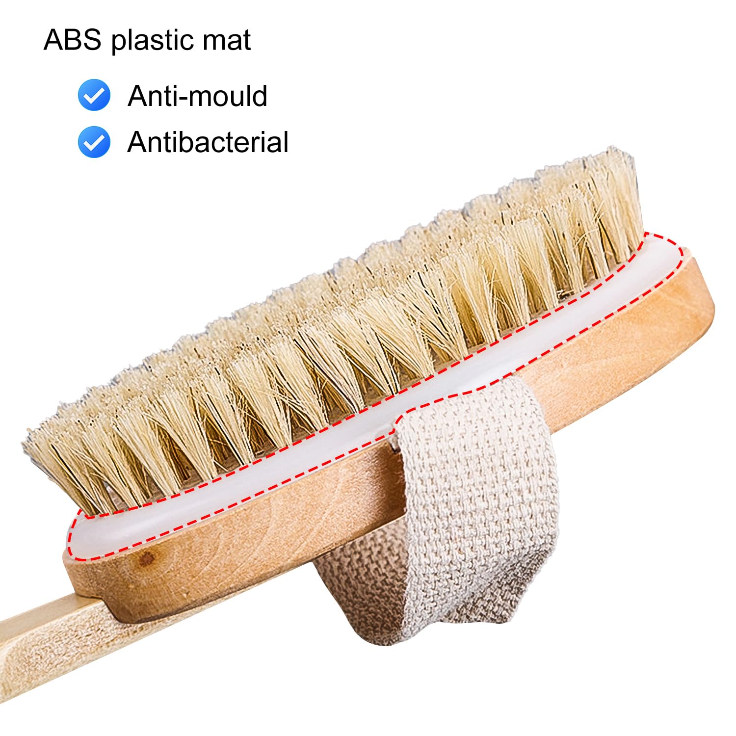 Dry Brushing Body Brush - Long Handle Natural Bristle Exfoliator for Wet Dry Showering, Back Scrubber, Large Dead Skin Remover - Damaged Box
