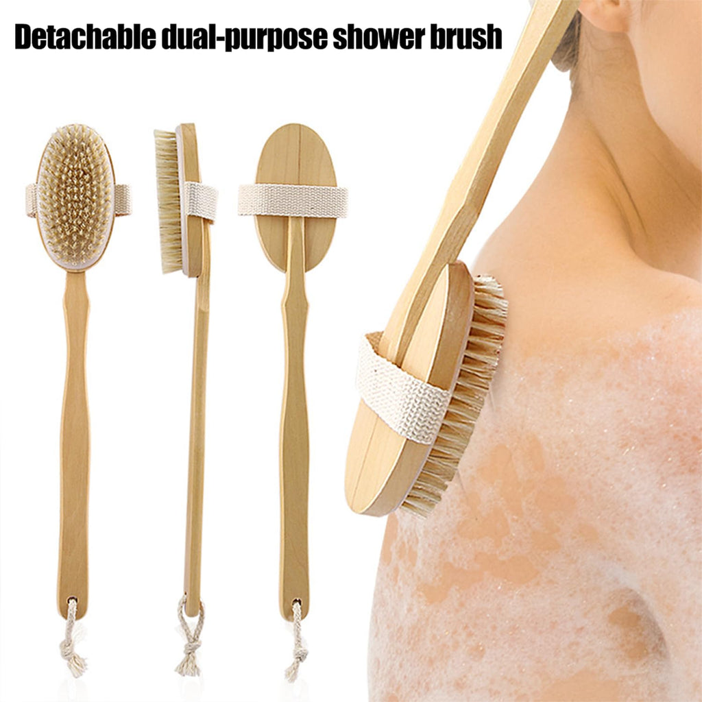 Dry Brushing Body Brush - Long Handle Natural Bristle Exfoliator for Wet Dry Showering, Back Scrubber, Large Dead Skin Remover - Damaged Box