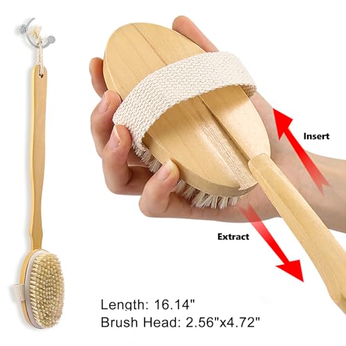 Dry Brushing Body Brush - Long Handle Natural Bristle Exfoliator for Wet Dry Showering, Back Scrubber, Large Dead Skin Remover - Damaged Box