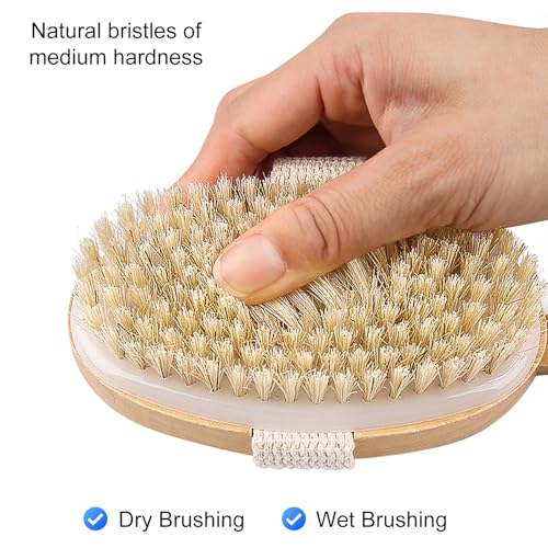 Dry Brushing Body Brush - Long Handle Natural Bristle Exfoliator for Wet Dry Showering, Back Scrubber, Large Dead Skin Remover - Damaged Box
