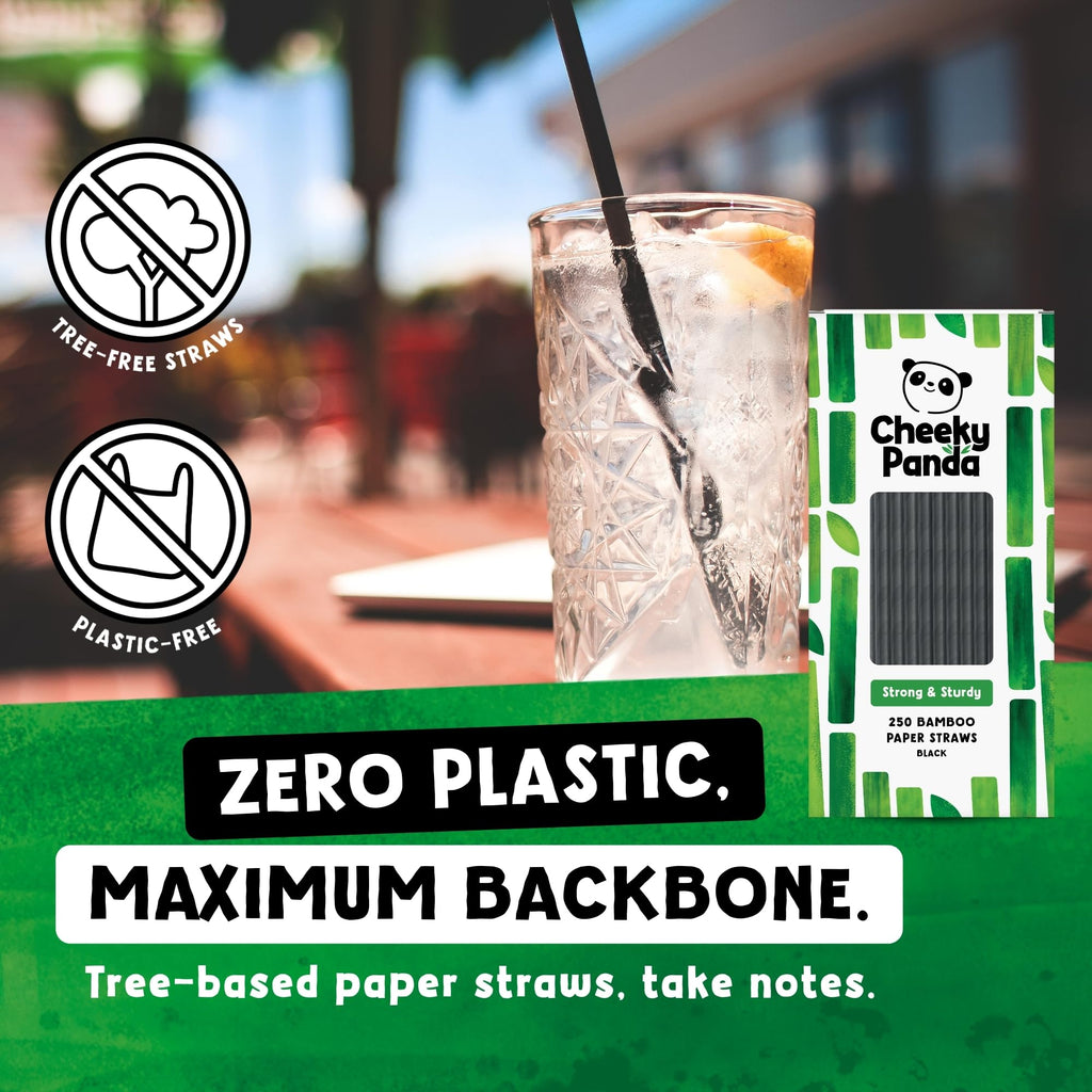 The Cheeky Panda Bamboo Paper Straws - 250 Black Drinking Straws Biodegradable Eco-Friendly - Damaged Box