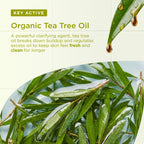 Dr Organic Tea Tree Body Wash, Shower Gel, Natural, Vegan, Cruelty-Free, Paraben & SLS-Free, Recyclable & Recycled Ocean Bound Plastic, Certified Organic, 250ml, Packaging may vary - New
