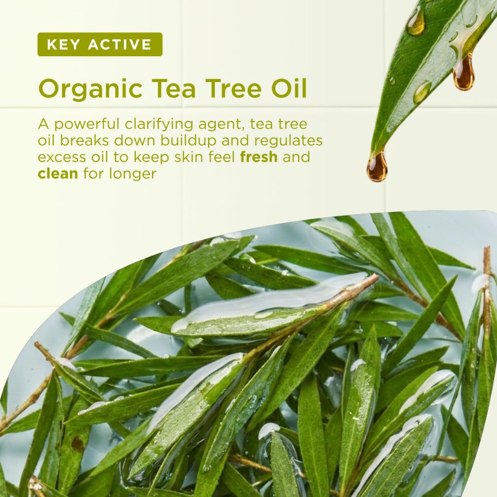 Dr Organic Tea Tree Body Wash, Shower Gel, Natural, Vegan, Cruelty-Free, Paraben & SLS-Free, Recyclable & Recycled Ocean Bound Plastic, Certified Organic, 250ml, Packaging may vary - New