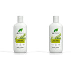 Dr Organic Tea Tree Body Wash, Shower Gel, Natural, Vegan, Cruelty-Free, Paraben & SLS-Free, Recyclable & Recycled Ocean Bound Plastic, Certified Organic, 250ml, Packaging may vary - New