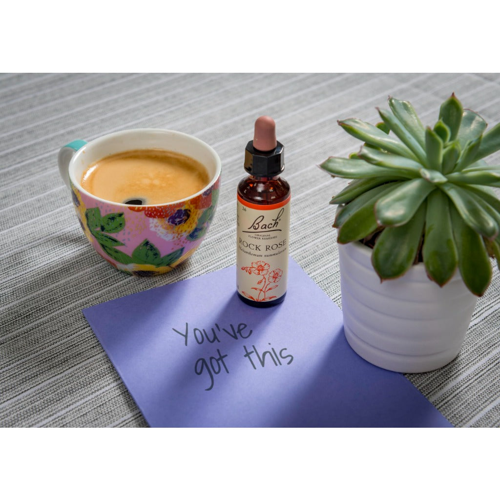 Bach Original Flower Remedies Rock Rose - Natural Flower Essence - Emotional Wellness - 20ml - Damaged Box - BBE 07/2030