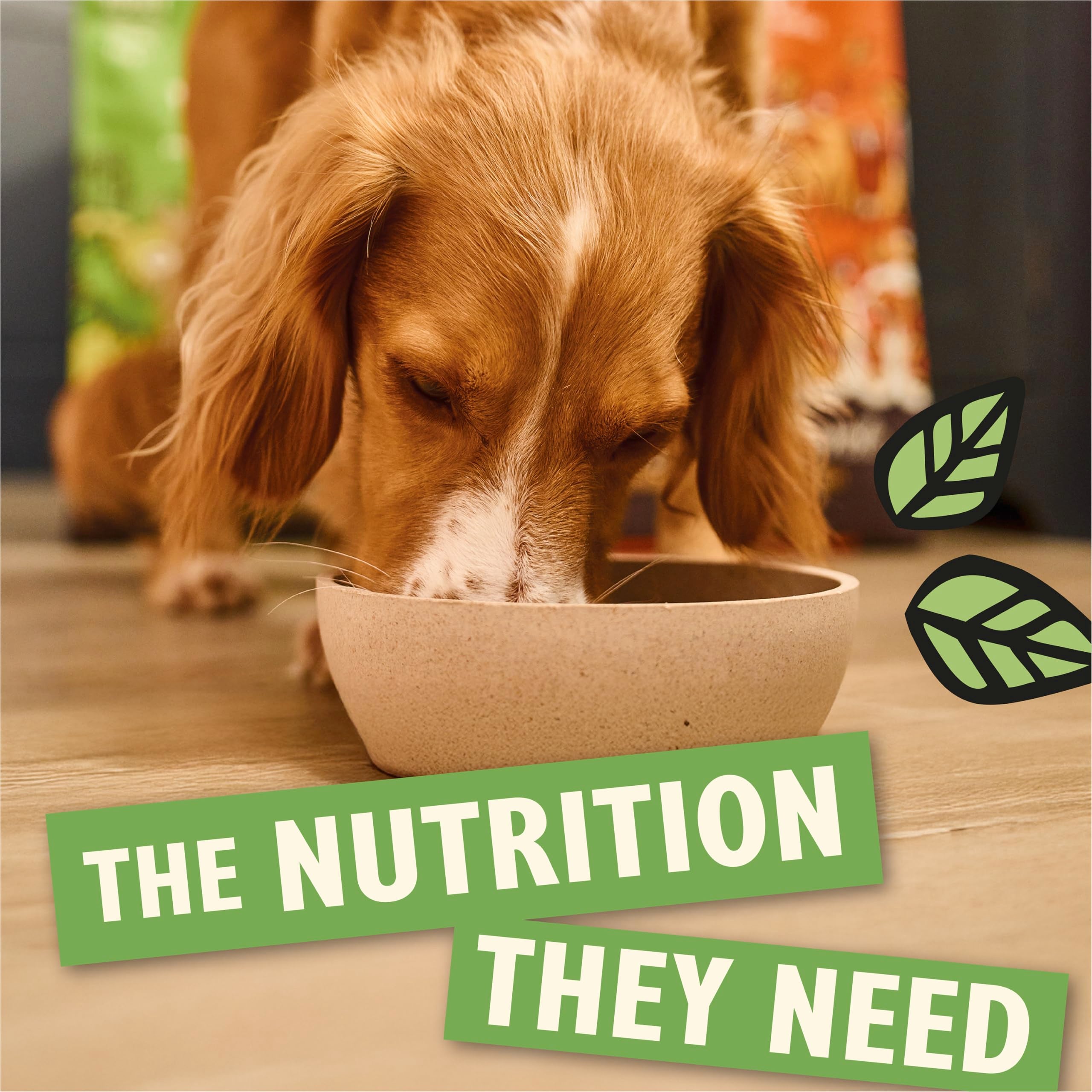 Lily's Kitchen Adult Dry Dog Food - Chicken & Duck Grain-Free Recipe - 7kg Bag Natural Ingredients - Very Good