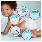 Pampers Premium Protection Nappies Size 5 - 152 Nappies - 11-16kg Monthly Pack with Harmonie Aqua Wipes 10 Count - Damaged Box