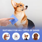 Professional Extra Long Pin Slicker Brush for Dogs & Cats - Firm Dematting & Deshedding Comb for Thick Coats - 25mm Curved Stainless-Steel Pins Grooming Tool for doodle, Poodle, Long Hair Pets - Damaged Box