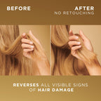 Pantene Molecular Bond Repair Shampoo, Conditioner, Conditioning Treatment - Damaged Box