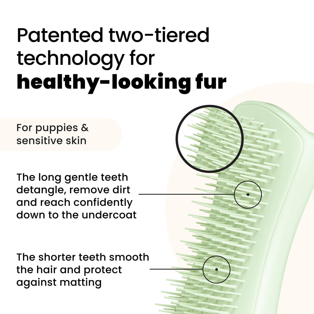 Tangle Teezer | Pet Teezer | Puppy Grooming Brush | Short, Medium Hair | Soft Bristles to Detangle Knots | Mint - Damaged Box
