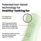 Tangle Teezer | Pet Teezer | Puppy Grooming Brush | Short, Medium Hair | Soft Bristles to Detangle Knots | Mint - Damaged Box