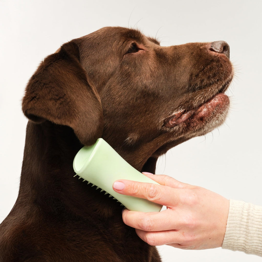 Tangle Teezer | Pet Teezer | Puppy Grooming Brush | Short, Medium Hair | Soft Bristles to Detangle Knots | Mint - Damaged Box