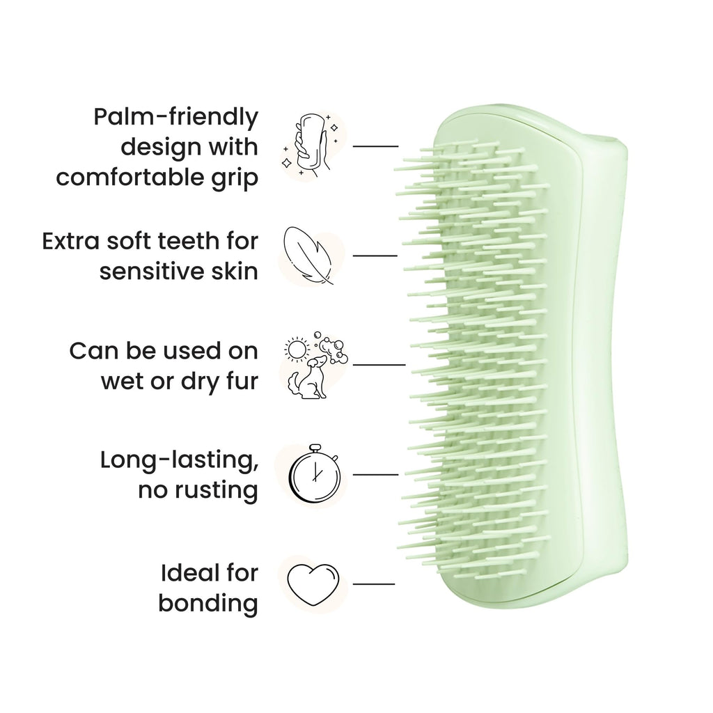 Tangle Teezer | Pet Teezer | Puppy Grooming Brush | Short, Medium Hair | Soft Bristles to Detangle Knots | Mint - Damaged Box