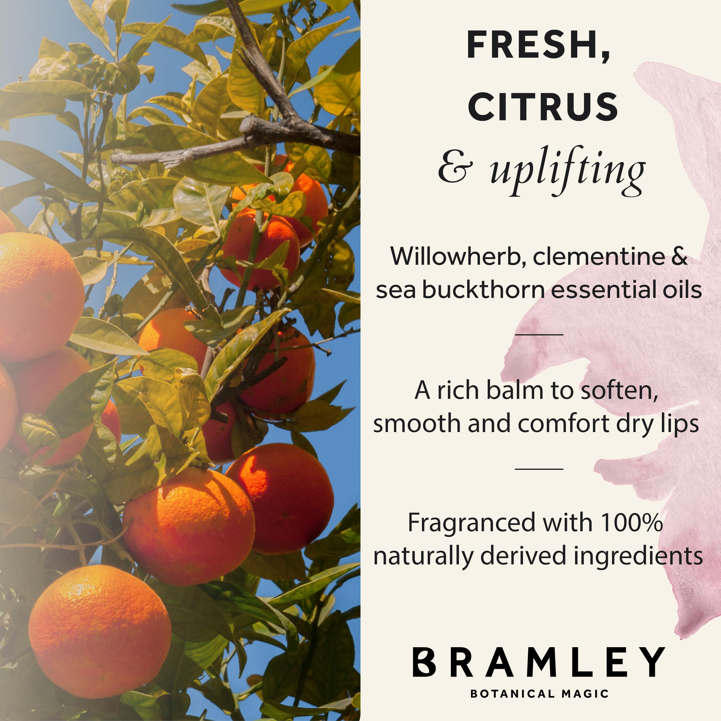 Bramley Lip Balm 15g, Natural Wax Infused with Willowherb, Clementine and Sea Buckthorn to Hydrate and Nourish Lips - New