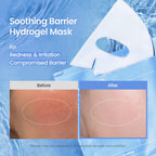 BIODANCE Hydro Cera-nol Hydrogel Overnight Face Mask 4 PCs - Damaged Box - BBE 01/2029