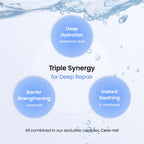 BIODANCE Hydro Cera-nol Hydrogel Overnight Face Mask 4 PCs - Damaged Box - BBE 01/2029