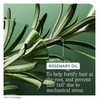 Biolage Full Density Fortifying Shampoo - Hair Fall Resistance - 400ml - Thinning Hair Treatment - New