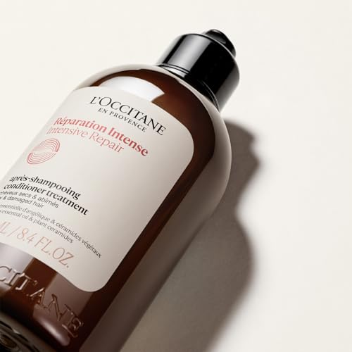 L'OCCITANE Intensive Repair Conditioner - 250ml Hair Care Treatment - Dry Damaged Hair Formula - New