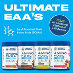 Applied Nutrition Amino Fuel - EAA Essential Amino Acids Powder, Muscle Recovery Supplement 390g Candy Ice Blast - New - BBE 01/2028
