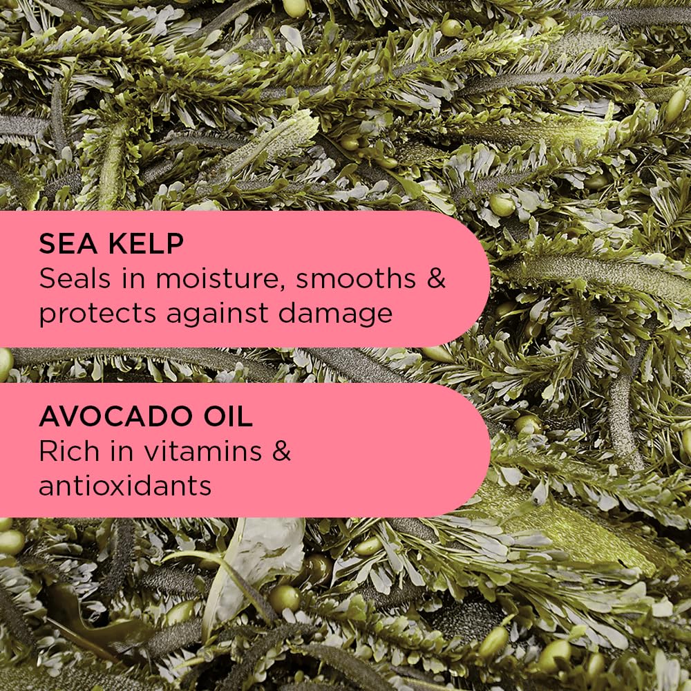 Noughty Wave Hello Curl Defining Shampoo - Curly Hair - 1 Litre - Vegan Cruelty-Free Haircare - New