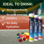 Electrolytes Tablets - Hydration - 120 Tablets - Variety Fruit Flavours - 6 Tubs - Sports Drink Supplement - Damaged Box - BBE 06/2028