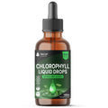 New Leaf Products Liquid Chlorophyll Drops for Water 100ml - High Strength 100mg Chlorophyll Drink - 100 Servings UK Made - Damaged Box - BBE 08/2027