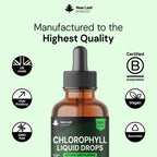 New Leaf Products Liquid Chlorophyll Drops for Water 100ml - High Strength 100mg Chlorophyll Drink - 100 Servings UK Made - Damaged Box - BBE 08/2027