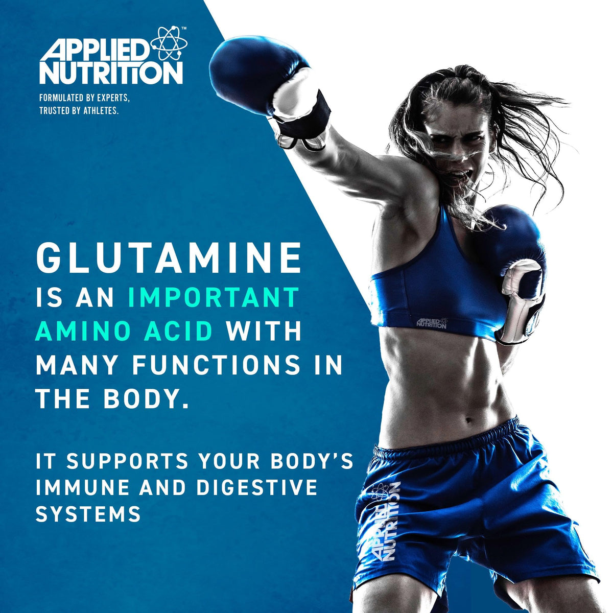 Applied Nutrition L-Glutamine Powder - Amino Acid for Muscle Recovery & Immune Support - Unflavoured 250g - New