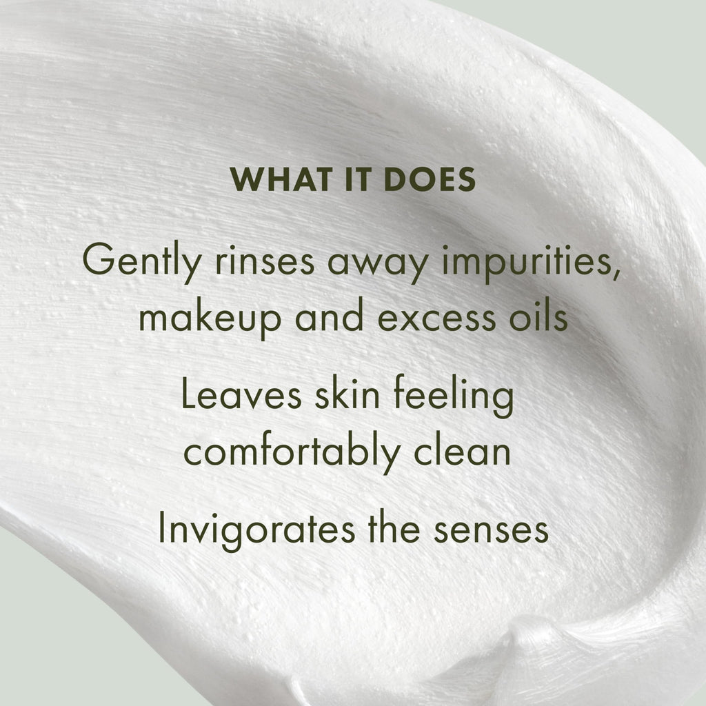 Origins Checks and Balances Frothy Face Wash - Gentle Cleanser All Skin Types - Mint 250ml - New