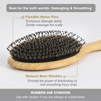 BESTOOL Hair Brush - Boar & Nylon Bristle - Wet/Dry Hair - Smoothing Massaging Detangling - Round Brush for Shine & Health - Damaged Box