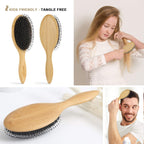 BESTOOL Hair Brush - Boar & Nylon Bristle - Wet/Dry Hair - Smoothing Massaging Detangling - Round Brush for Shine & Health - Damaged Box