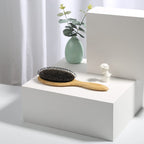 BESTOOL Hair Brush - Boar & Nylon Bristle - Wet/Dry Hair - Smoothing Massaging Detangling - Round Brush for Shine & Health - Damaged Box