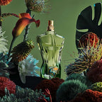 Jean Paul Gaultier Le Beau Paradise Garden Eau de Parfum 125ml EDP Spray Fragrance Men's - Damaged Box
