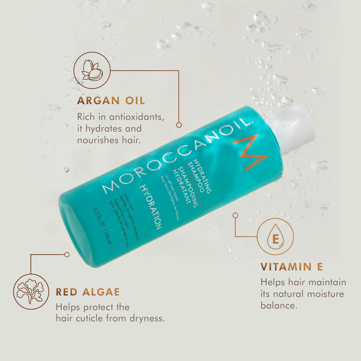 Moroccanoil Hydrating Shampoo 250ml - Moisturising Hair Care for Dry Hair - Damaged Box