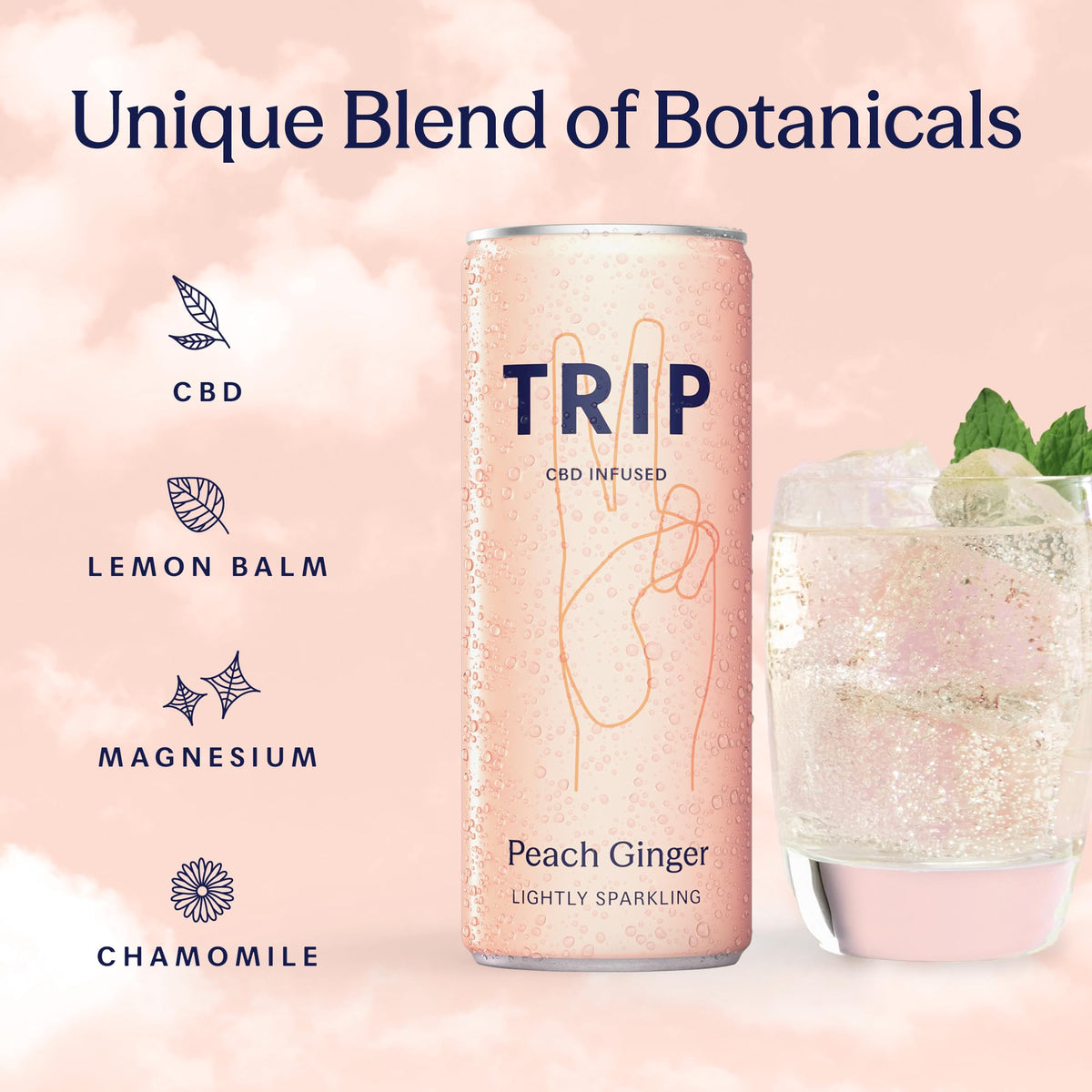 TRIP Sparkling Drink - Low Calorie Vegan Peach Ginger - 12 Pack CBD Infused Beverage - New - BBE 07/2028