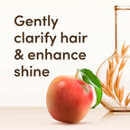 Aveeno Clarify & Shine Shampoo - Apple Cider Vinegar Blend - Soothes Dry Itchy Flaky Scalp - Sulfate Free - 500ml - New