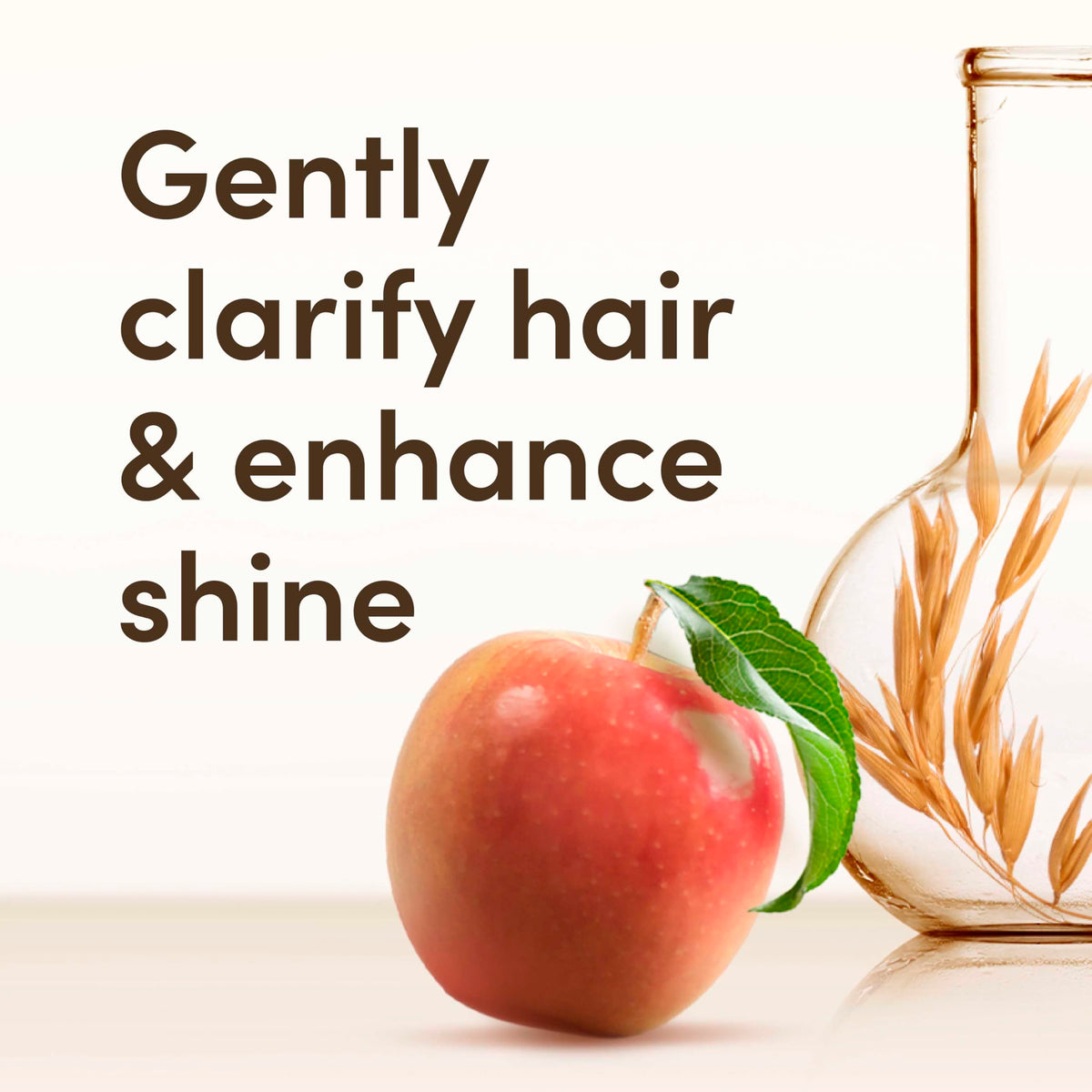 Aveeno Clarify & Shine Shampoo - Apple Cider Vinegar Blend - Soothes Dry Itchy Flaky Scalp - Sulfate Free - 500ml - New