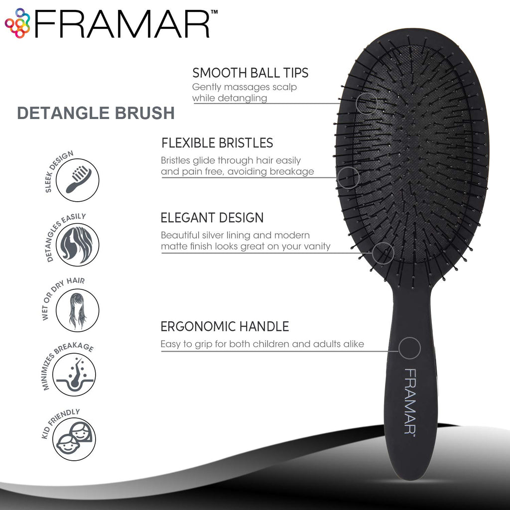 FRAMAR Detangle Hair Brush - Wet Hairbrush for Women, Black - Reduces Hair Breakage & Frizz - Damaged Box