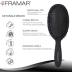 FRAMAR Detangle Hair Brush - Wet Hairbrush for Women, Black - Reduces Hair Breakage & Frizz - Damaged Box