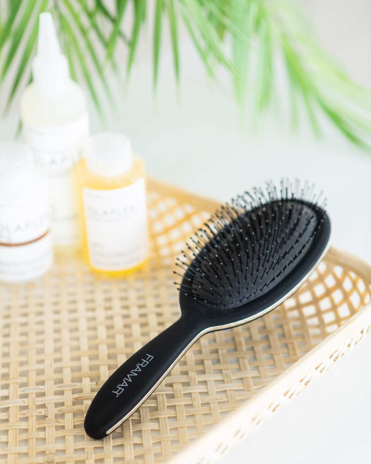 FRAMAR Detangle Hair Brush - Wet Hairbrush for Women, Black - Reduces Hair Breakage & Frizz - Damaged Box