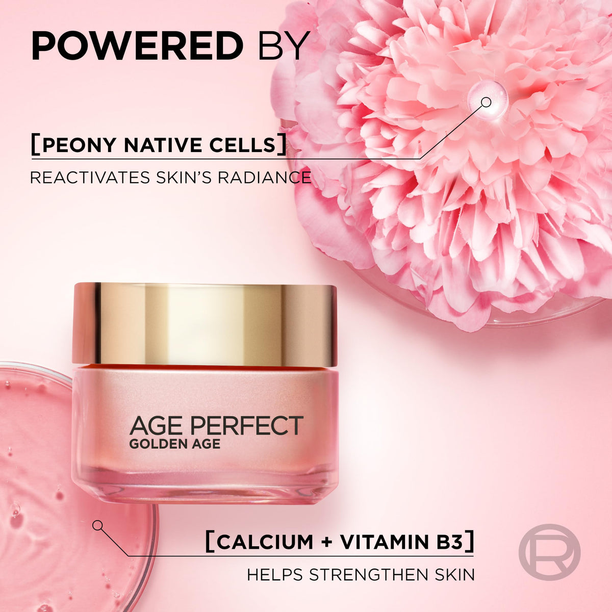 L'Oreal Paris Age Perfect Golden Age Day Cream Rosy Radiance 50ml - Anti-Ageing Moisturiser - New
