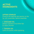 BYOMA Liptide Lip Oil - Hydrating, Plumping, Non-Sticky Gloss - 5ml Lip Care - New - BBE 03/2028