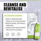 Bed Head TIGI Re-Energize Shampoo & Conditioner Set - 2x 750ml Duo Pack - Hair Care Treatment - New