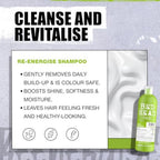 Bed Head TIGI Re-Energize Shampoo & Conditioner Set - 2x 750ml Duo Pack - Hair Care Treatment - New