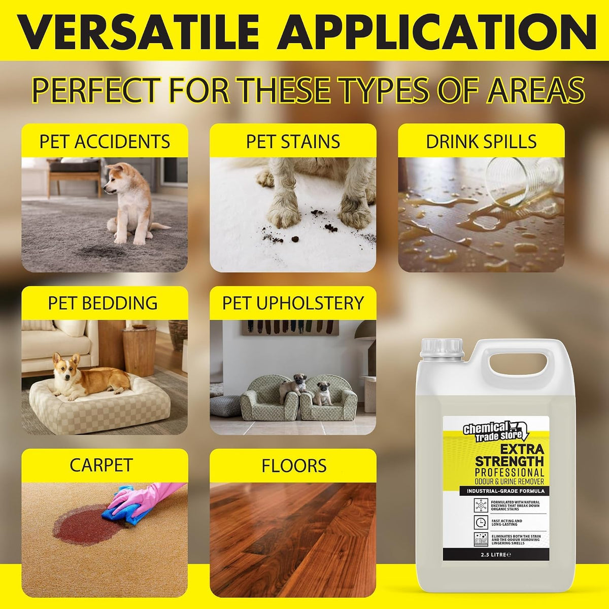 Chemical Trade Store Enzyme Odour & Urine Remover 2.5L - Professional Pet Stain Eliminator for Carpets, Upholstery & Hard Floors - New