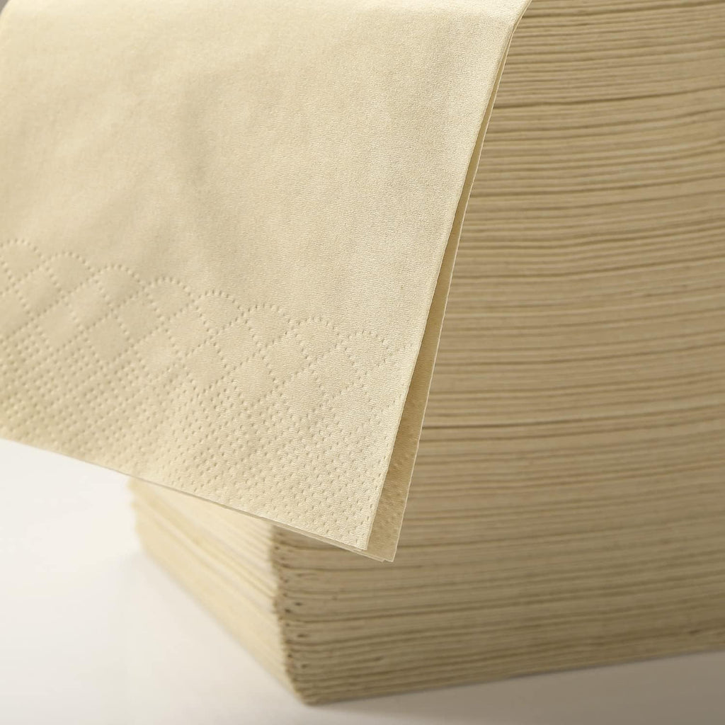 LEKOCH 300 Pcs Disposable Bamboo Paper Napkins - 2 Ply Compostable Eco Friendly Dinner Napkins 40x40cm - Damaged Box