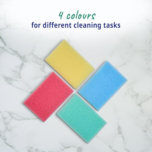 Spontex The Essentials Washing Up Sponge Scourers - Hard Wearing - 6 x 20 Pack - 120 Total - Versatile Kitchen Cleaning - Damaged Box