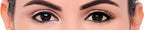 Eylure London 3/4 Length False Eyelashes 008 with Glue - Natural Look Lashes - Damaged Box